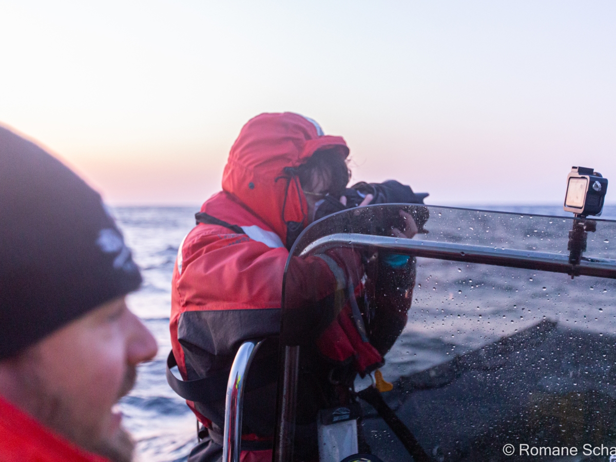 Une journée sur l’eau avec Sea Shepherd